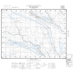 Carta topográfica 2557-31 <em>GUAYCOLEC</em>