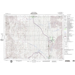 Carta topográfica 2769-30 <em>MEDANITOS</em>