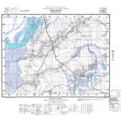 Carta topográfica 2960-6 <em>SALADAS Pos.1980</em>