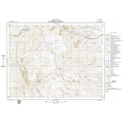 Carta topográfica 3169-8 <em>GUARDIA VIEJA</em>