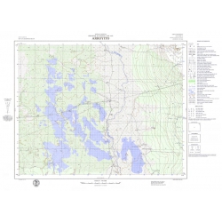 Carta topográfica 3366-13 <em>ARROYITO</em>