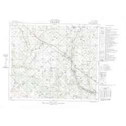 Carta topográfica 3963-10 <em>CHASICO</em>