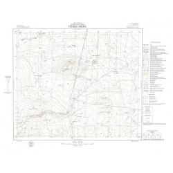 Carta topográfica 3966-31 <em>Co.MESA</em>