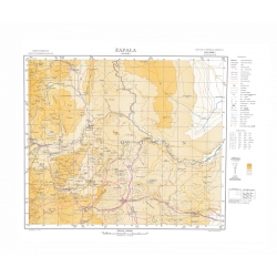 Carta topográfica 3969-I <em>ZAPALA</em>