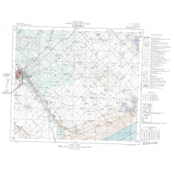 Carta topográfica 4163-16 <em>VIEDMA</em>