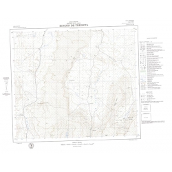 Carta topográfica 4166-13 <em>RINCON D.TRENETA</em>