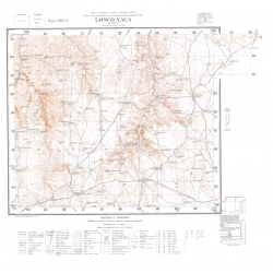 Carta topográfica 4169-3 <em>LONCO VACA</em>