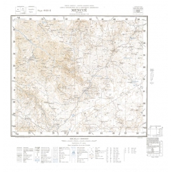 Carta topográfica 4169-8 <em>MENCUE</em>