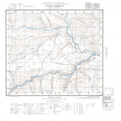 Carta topográfica 4172-12 <em>Po.FLORES</em>