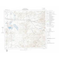 Carta topográfica 4369-19 <em>LAS SALINAS</em>