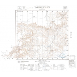 Carta topográfica 4566-10 <em>C¤d. SALADO</em>