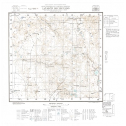 Carta topográfica 4569-14 <em>C¤d.MICHIGUADO</em>