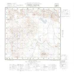 Carta topográfica 4569-16 <em>Co.BAGUAL</em>