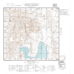 Carta topográfica 4569-21 <em>BUEN PASTO</em>