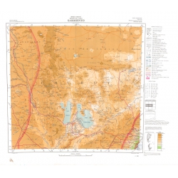 Carta topográfica 4569 <em>SARMIENTO</em>