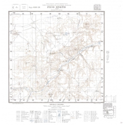 Carta topográfica 4569-29 <em>PICO ONETO</em>