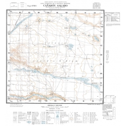 Carta topográfica 4769-1 <em>C¤d.SALADO Sta.Cruz</em>