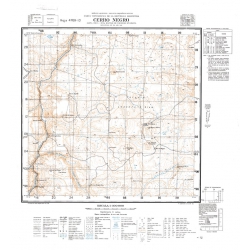 Carta topográfica 4769-13 <em>Co.NEGRO</em>