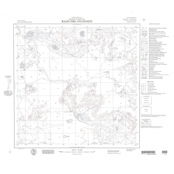 Carta topográfica 4769-29 <em>BAJO D.GUANACO</em>