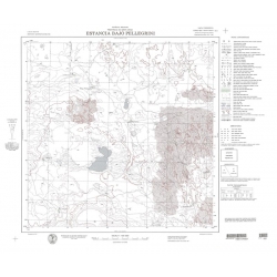 Carta topográfica 4769-31 <em>Ea.BAJO PELLEGRINI</em>