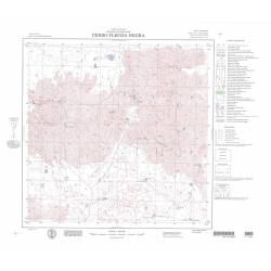 Carta topográfica 4769-32 <em>Co.FLECHA NEGRA</em>