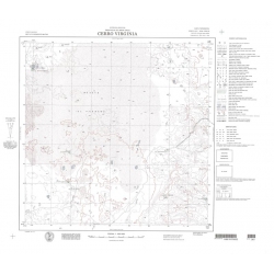 Carta topográfica 4769-33 <em>Co.VIRGINIA</em>