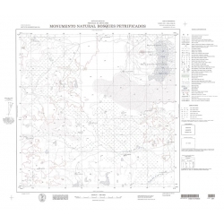 Carta topográfica 4769-35 <em>MONUMENTO.N.B.PETRIFICADOS</em>