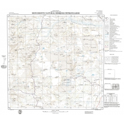 Carta topográfica 4769-IV <em>MONUMENTO N.B.PETRIFICADOS</em>