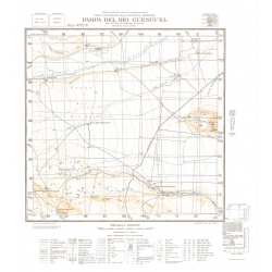 Carta topográfica 4772-6 <em>PAMPA D.R.GUENGUEL</em>